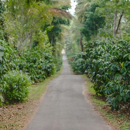 Belvilla The School Estate- Luxury Heritage Home In 200 Acres Madikeri Luaran gambar
